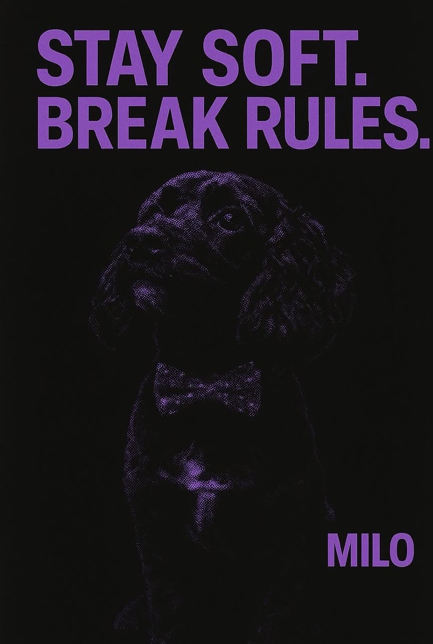 STAY SOFT. BREAK RULES.