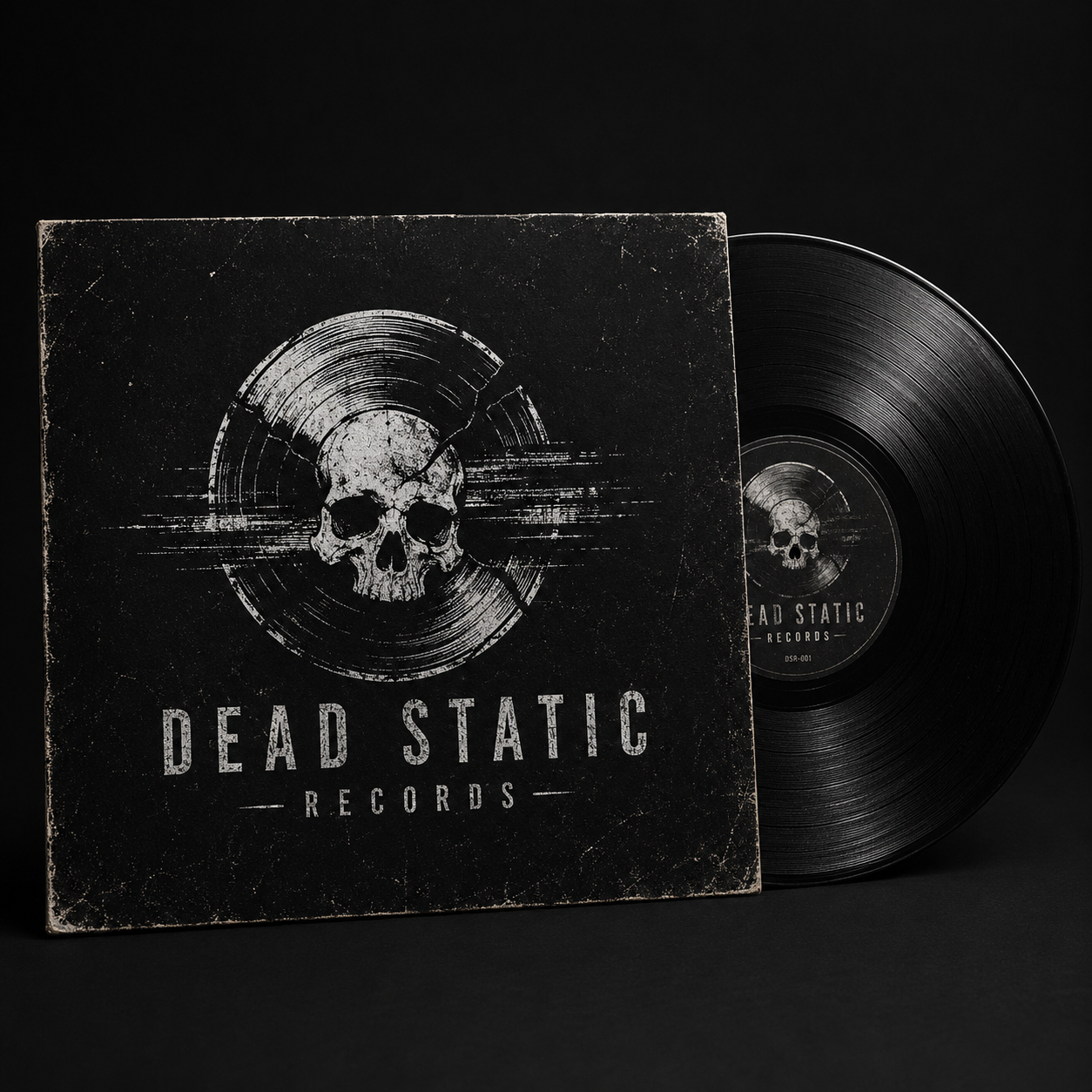 DEAD STATIC RECORDS / VINYL SLEEVE