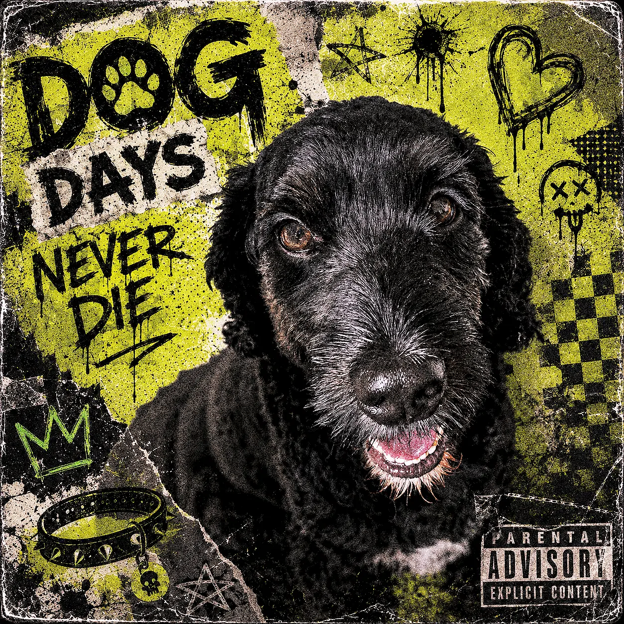 DOG DAYS NEVER DIE